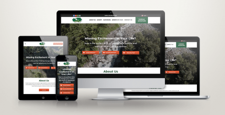 Puntzan Canopy Web Design