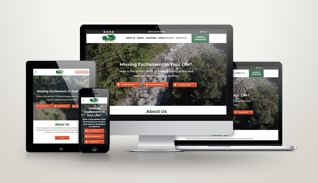 Puntzan Canopy Web Design