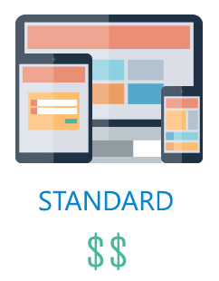 Standard Website Cost